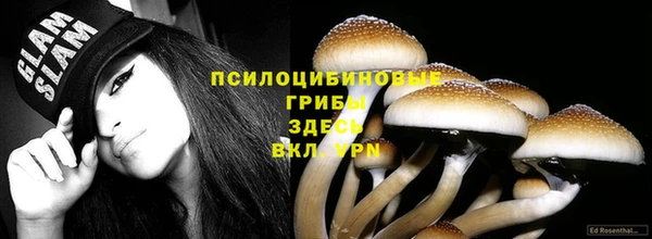 эйфоретик Инсар