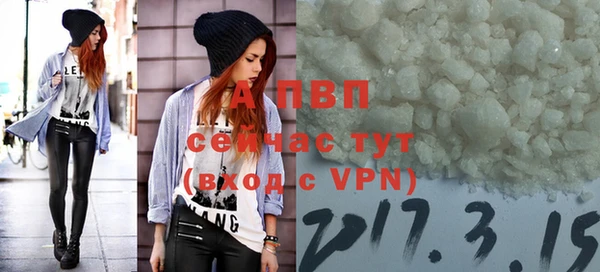 эйфоретик Инсар