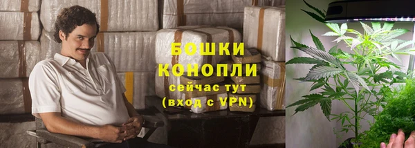 гидропоника Инта