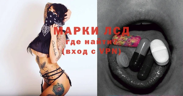 эйфоретик Инсар
